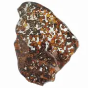 95g Sericho pallasite Meteorite Specimen Natural Meteorite Slice Specimen-QA142