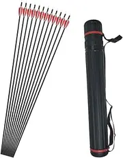 12 Pack 31 inch Archery Carbon Arrows 1000 Spine Target Practice Arrow with 2" Plastic Vanes for Beginners Compound & Recurve Bow