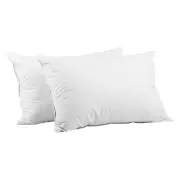 Giselle Bedding Set of 2 Goose Feather and Down Pillow - White