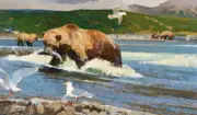 Spawning Fishing Bear Wildlife Seagulls sea birds ceramic tile mural backsplash