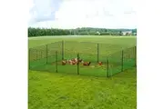 i.Pet Chicken Fence Electric 25Mx125CM Poultry Netting