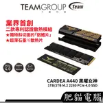 TEAM十銓 T-FORCE CARDEA A440 黑曜女神 1TB 2TB M.2 SSD 固態硬碟 雙散熱片