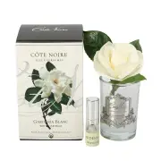 Cote Noire Perfumed Natural Touch Single Gardenias, Silver & Clear Glass (Discontinued)