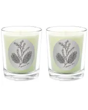 Qualitas Candles Mimosa Tree Two Scented Beeswax Candle Set