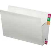 Avery 43957 Lateral File Concertina Wallet 85Mm Expansion Legal Box 25