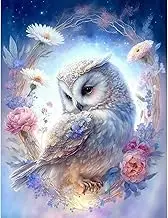 VeGuude Diamond Painting Kits for Adults, Owl 5D Diamond Art Kits, Full Drill DIY Crafts for Adults Home Wall Decor Gift Diamond Dots [11.8x15.7inch]