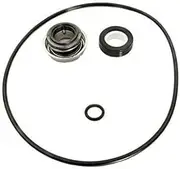 Buying Q Buying S Fits Polaris Booster Pump PB4-60 （Dec 2011-Prior） Shaft Seal & O-Ring Rebuild Kit（Serial Number M12011001）