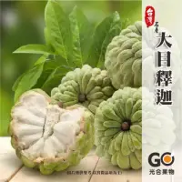 在飛比找momo購物網優惠-【光合果物】台東大目釋迦 中果10-12顆1箱(10-12顆