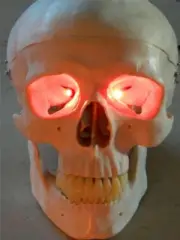 HALLOWEEN PROP RED LED FIRE FLICKER EFFECT EYES FOR MASK OR SKULL