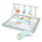 Bright Starts Disney Baby WINNIE THE POOH Once Upon a Tummy Time Activity Gym,