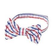 Mud Pie Boys Red and Blue Plaid Bow Tie One Size