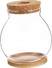 OFFSCH Hydroponic Glass Plant Vase with Wooden Saucer Transparent Container for Indoor Flower Display Root Observation and Plant Propagation Station for Home and Office Decor