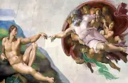 Free Same Day Shipping The Creation Of Adam Michelangelo Borderless 11x17 Poster