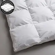 Logan & Mason 25/75 Duck Down and Feather Quilt, Queen Bed
