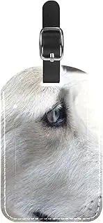 [WOSHJIUK] Luggage Tags,2 Pack Labels Suitcase Tags,Portrait of White Dog,Luggage Tags Privacy Protection Travel Bag Tag