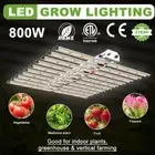B10 800W W/Samsung LM561C Full Spectrum LED Grow Lights Gavita Grow Hydroponics