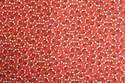 Chestnut Street by Fig Tree Quilts for Moda Fabrics 1 yd
