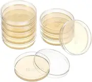 ULTECHNOVO Petri Dishes With Nutrient Agar Plate for Laboratory Scientists Science Experiments Microbiology (10pcs)