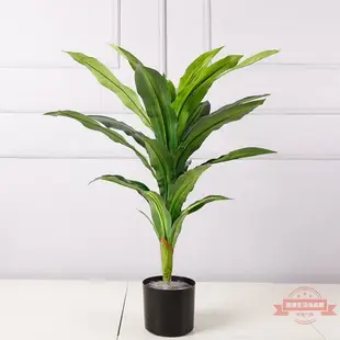 仿真巴西鐵樹 客廳裝飾仿真植物盆栽 龍血鐵樹 櫥窗裝飾綠植盆栽