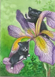 PRINT OF ACEO PAINTING RYTA FAIRY TUXEDO CAT BLACK KITTEN ANGEL IRIS GARDEN FOLK