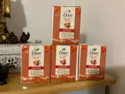 Dove Bar Soap Holiday Treats Nourishing Beauty CINNAMON PUMPKIN lot of 8