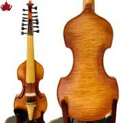 Baroque style song professio Master 7×7 strings 14 "3/4 Viola d'Amore #12264