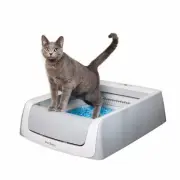 The Scoopfree 2nd Generation Automatic Self-Cleaning Cat Litter Box - Improved