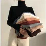 Turtleneck Long-Sleeve Knit Top Coffee - One Size