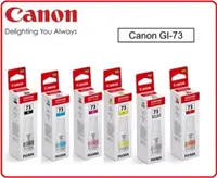 在飛比找樂天市場購物網優惠-CANON GI-73 原廠 全新盒裝原廠墨水匣 73 GI