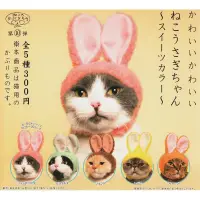 在飛比找蝦皮購物優惠-奇譚KITAN日版扭蛋 貓咪專屬頭巾10 貓咪兔耳頭套 造型