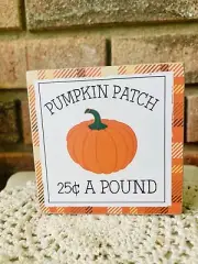 Pumpkin Patch Square Block 4” Country Farmhouse Cottagecore Fall Decor New