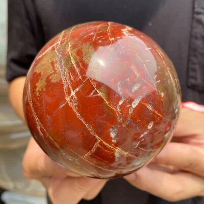 1210g Natural petrified wood sphere Rough silicified wood ball specimen healing