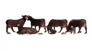 Woodland Scenics 1955 HO Scale Black Angus Cows - Scenic Accents(R) -- pkg(5)