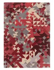Asiatic Enigma Rug in Red