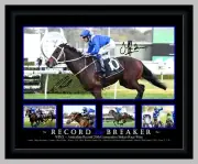 WINX RECORD BREAKER HORSE RACING SIGNED PHOTO COLLAGE FRAMED.
