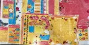 TPC Studio Boho Blooms Bright Florals Butterflies Scrapbooking Kit