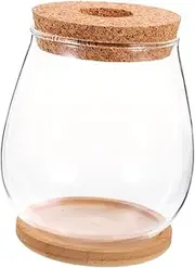 HANABASS Hydroponic Planters Glass Vase with Stand Stylish Desktop Terrarium for Micro Landscape Decoration Transparent Water Planting Container for Home Office and Restaurant