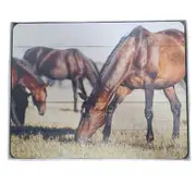 Cork Backed Placemats Horses B Set 6 Kitchen Dining