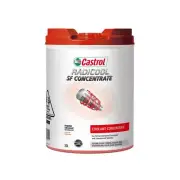 Castrol Radicool SF 20L 3424712 (for: Fiat)