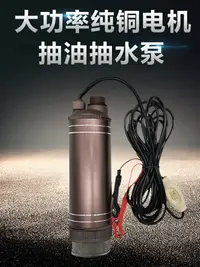 在飛比找樂天市場購物網優惠-大功率抽柴油 水泵12V24V220伏抽油神器加油機電動油抽