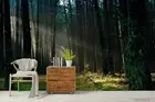 3D Deep Forest Wallpaper Wall Mural Removable Self-adhesive 165