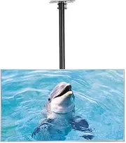 Display Bracket TV Mount, Ceiling TV Mount, Adjustable Height Full Motion 360° Swiveling Bracket Fits Most 32-55" LCD LED Plasma Monitor Flat Panel Screen Display with 400x400, Black