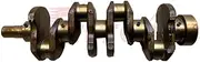 for Cummins QSB3.3 B3.3 crankshaft Engine Rebuild Overhaul Repair kit Gasket + Ring + Bearing Big Small end