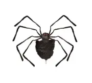 Mirabella Hanging Plush Spider HALLOWEEN HANGING SPIDER