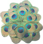 MWOOT 30 Pieces Peacock Feathers, Green Peacock Eye Feathers for DIY Crafts Art,
