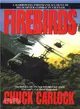 Firebirds ─ The Best First Person Account of Helicopter Combat in Vietnam Ever Written