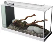 SPEC Aquarium Kit, Aquarium with LED Lighting and 3-Stage Filtration, 5 Gallon,