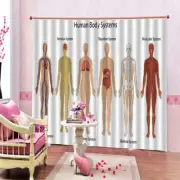 Human Body Structure 3D Curtain Blockout Photo Printing Curtains Drape Fabric