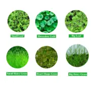 Aquarium Plant Seeds Fish Tank Aquatic Water Grass Foreground Easy Plants 1 Bag