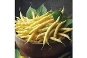 BEAN BUTTER 'Cherokee Wax' / Dwarf / Bush seeds - Standard packet (see description for seed quantity)